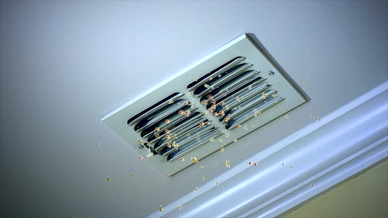 Best HVAC System Cleaning  in Tice, FL