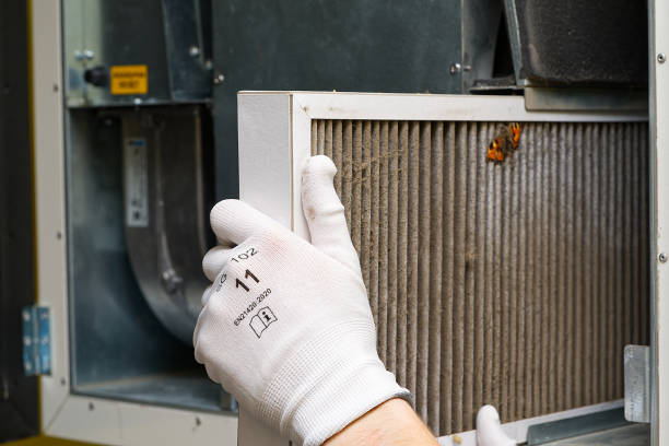 Best Professional Duct Cleaning Services  in Tice, FL