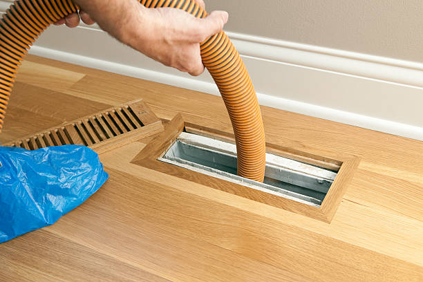 Best Affordable Air Duct Cleaning  in Tice, FL