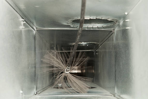 Best Affordable HVAC Duct Cleaning  in Tice, FL