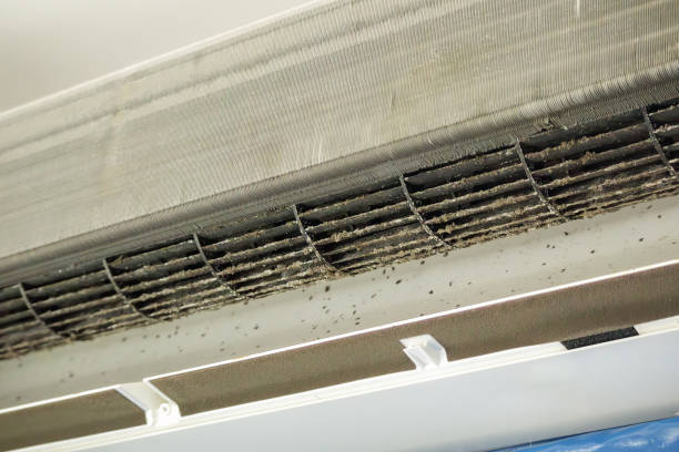Best Ductwork Cleaning Services  in Tice, FL